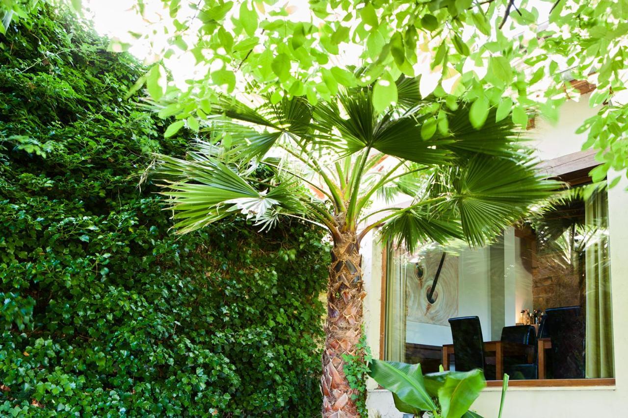 Hotel Sotobosque Mortera Zewnętrze zdjęcie